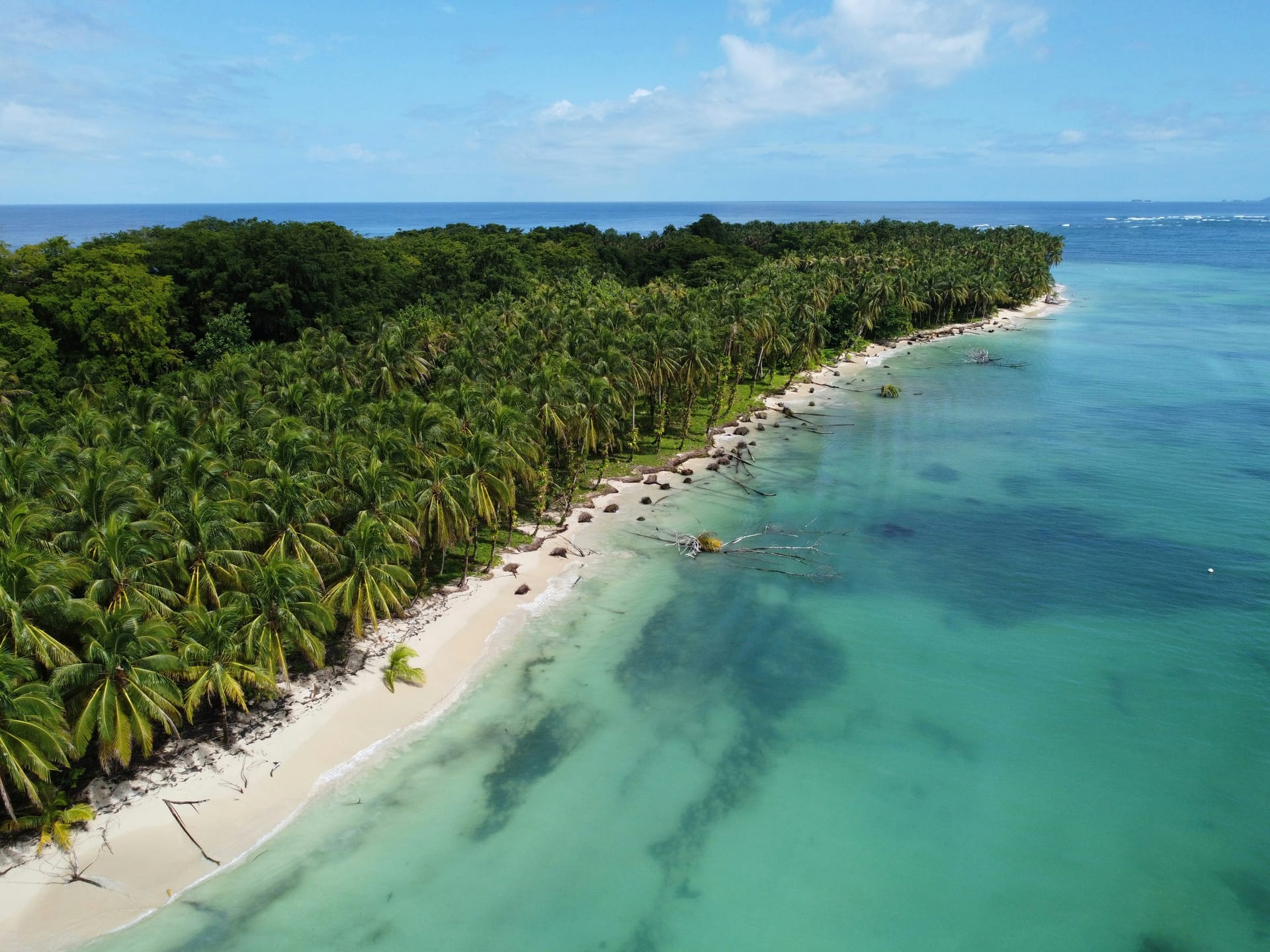 Tropical Beach Resort